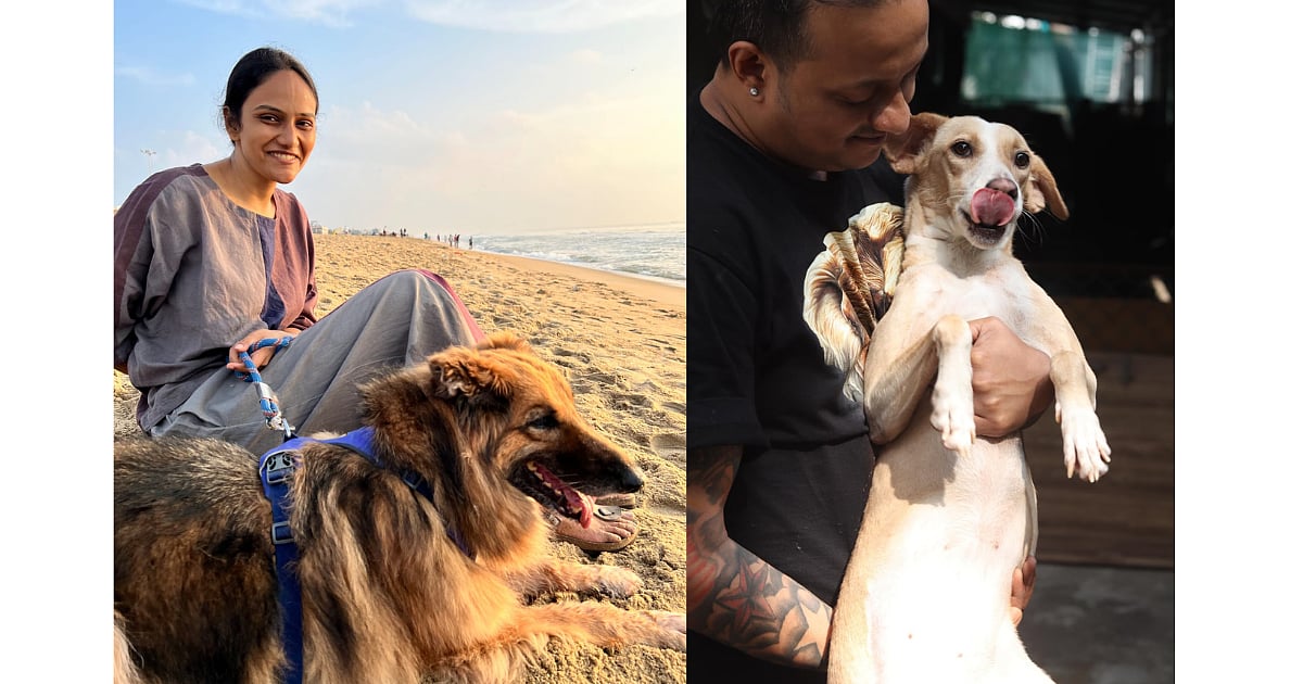 News 12 How Arya R and Aditya Venkatraman are transforming street animal care in Chennai