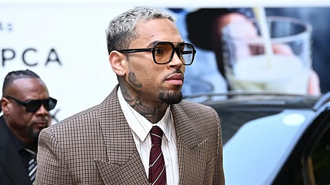 Chris Brown ordered to pay $13 million after housekeeper got mauled by his dog