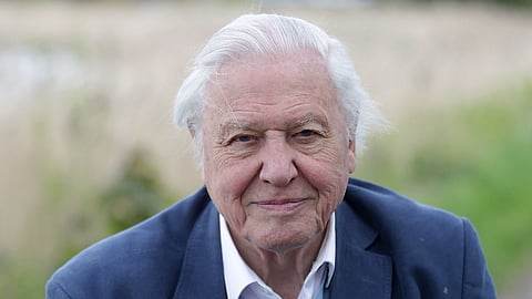 Sir David Attenborough becomes oldest Emmy nominee at 100 with two historic nominations