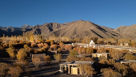 Why The Postcard in the Himalayan Willows, Stok, Leh, should be on your mountain getaway list