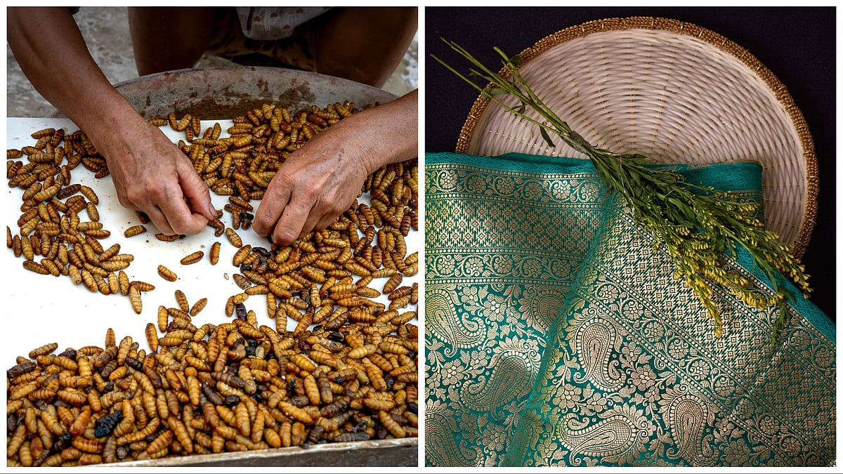 How a silkworm heist by two monks changed the economy of the Byzantine Empire