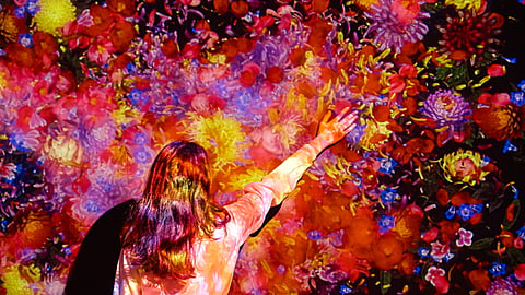 Flowers and People, Cannot be Controlled but Live Together