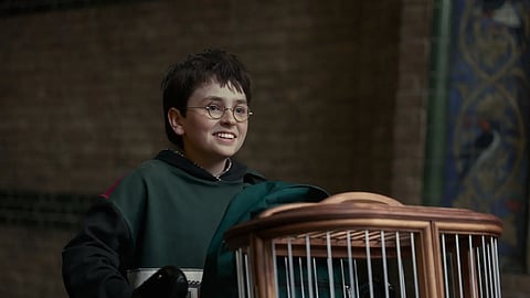 HBO's Harry Potter series