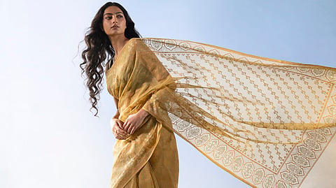 Tilfi latest collection