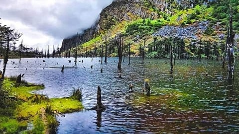 Madhuri Lake, officially called Sangestar Tso, is a serene high-altitude lake in Tawang that was formed by an earthquake