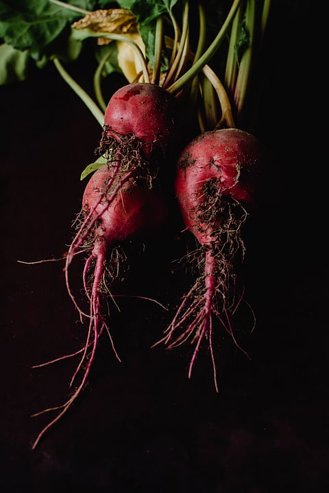 How to incorporate beet root in your daily diet?