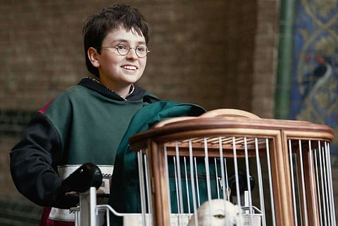 HBO drops new Harry Potter series trailer, the internet reacts 