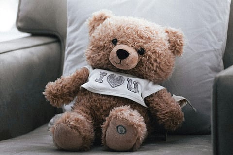 The teddy bear’s origin story Is not what you’d expect
