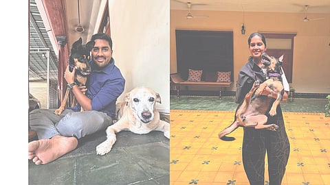 Animal welfare in Chennai: Small acts that make a difference
