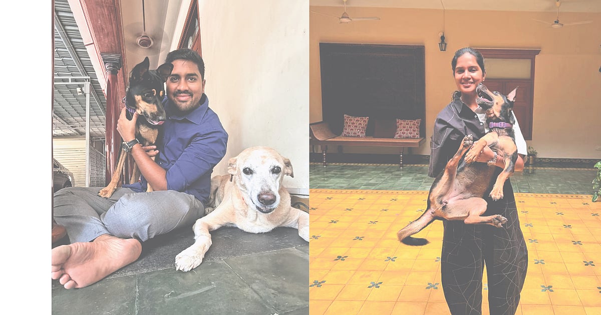 News 23 Animal welfare in Chennai: Small acts that make a difference