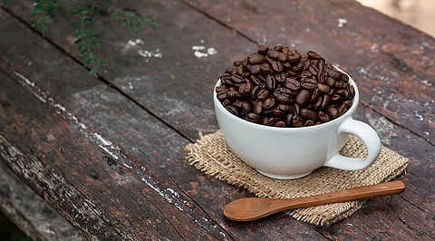 Coffee beans: From that perfect cuppa to your regular beauty ritual 