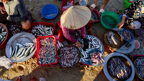 Discover picturesque fishing villages in India 