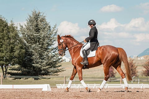 About to ride a horse for the first time? Avoid these beginner mistakes