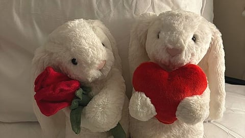 plushies