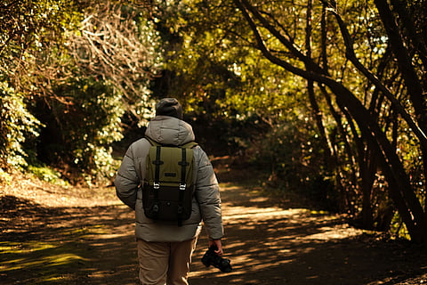 The healing power of nature photography - Why a photo walk is good for you