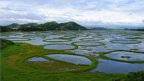 India's floating national park, Keibul Lamjao, is home to the rare Sangai deer 