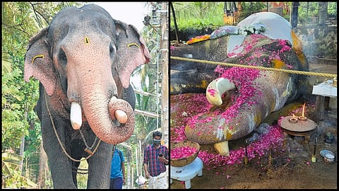 Pallattu Brahmadathan elephant death