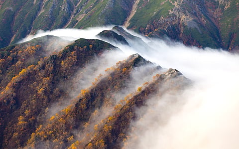 The best places to see autumn foliage in Asia this October