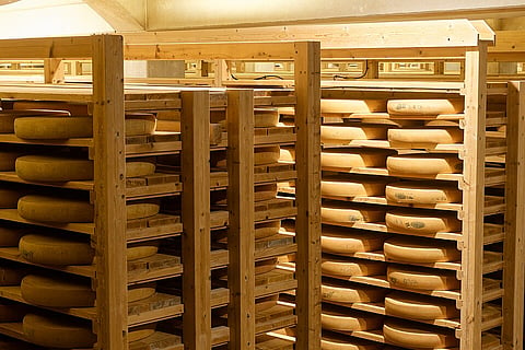 The regional cheeses that define European food cultures