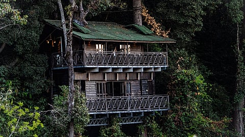 6 treehouse resorts in India for a peaceful break 