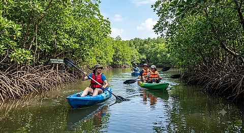 Udupi’s new eco-tourism destination winds through Saligrama’s mangrove forests