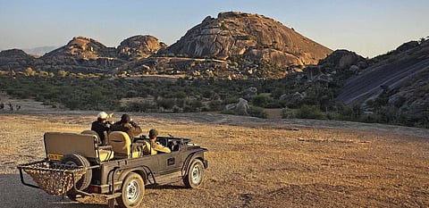 Inside Jawai’s unfenced leopard country and luxury camping