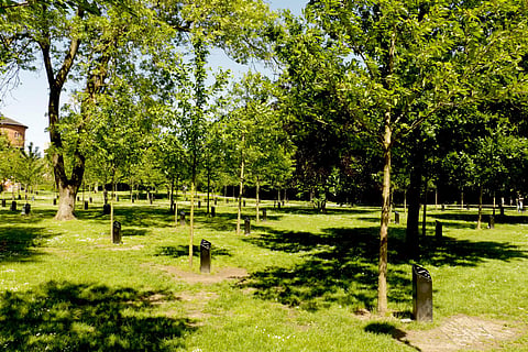 Park of Music, Aalborg