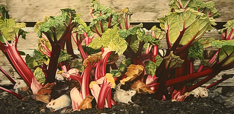 Still life