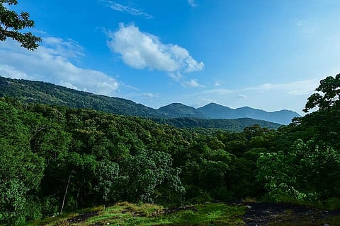 Parambikulam_(4)