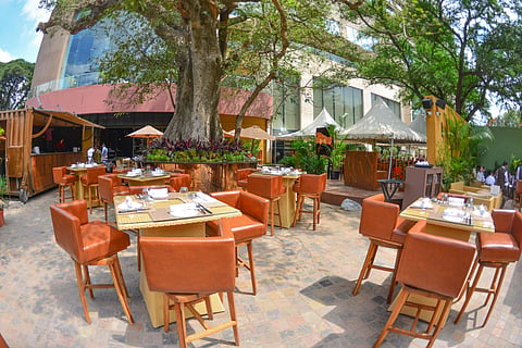 Expect massaman curry, crispy soft shell crab starters and edible gold cocktails at Bo-Tai