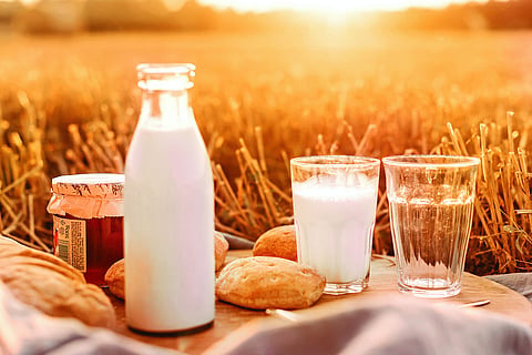 Wellness column: Why are more people lactose intolerant today? 