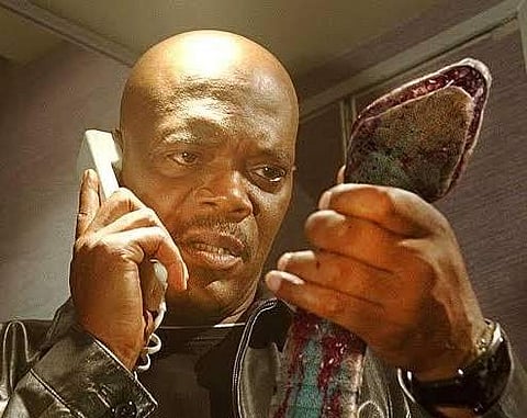 Snakes on a Plane