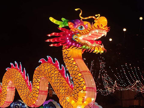 Festival of Magical Panda Lights