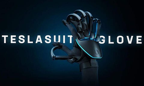The Gloves