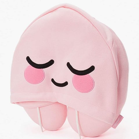 Hoodie pillow
