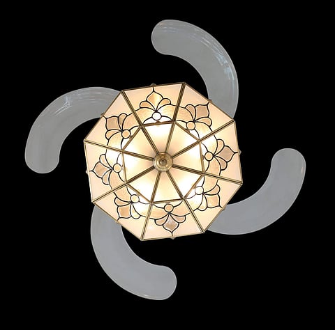 Monolisa