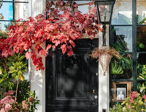 Simple additions like a wind chime or the colour of your door can  balance the chi in your environment