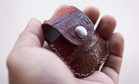 CFL air pods pouch