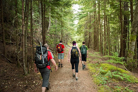 Trekking
