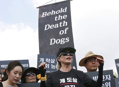 American actress Kim Basinger speaks at a rally to oppose eating dog meat in front of the National Assembly in Seoul, South Korea. (AP Photo/Ahn Young-joon)