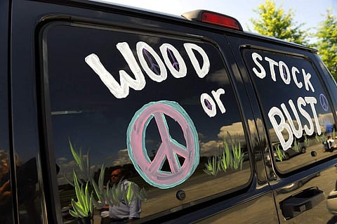 Woodstock 50 is officially cancelled (AP Photo/Stephen Chernin)