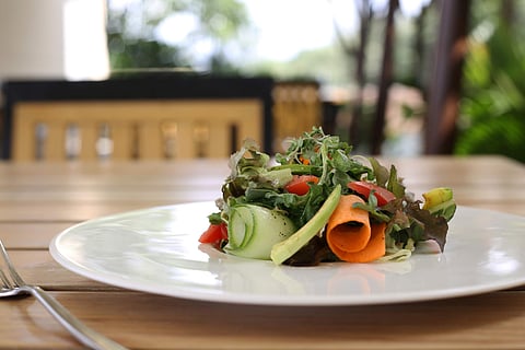 Bangalore Metropolitan Salad