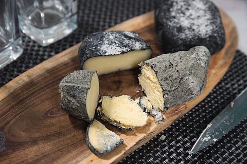 Charcoal Valencay cheese is a classic cheese with a smokey after-taste