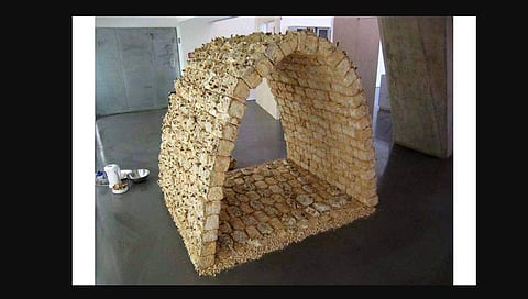 A sample house made of mushrooms