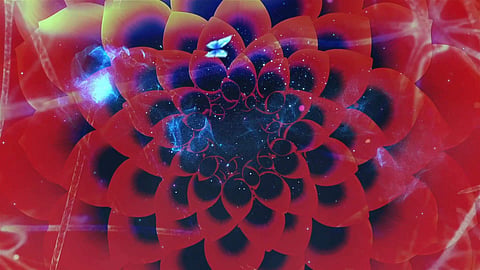 Michelle Poonawalla 's new digital film Circle of Life is part of a new media exhibition titled Sky’s The Limit