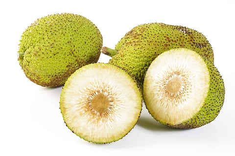 Eat seasonal: Breadfruit is rich in nutrients which are essential for the body, skin and hair
