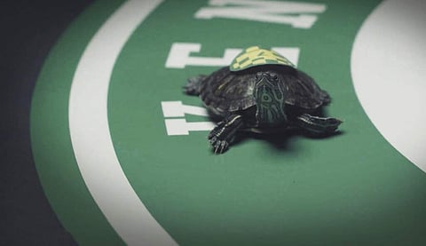Kentucky Turtle Derby, Chicago (Dominic Udell/Brown-Forman via AP)