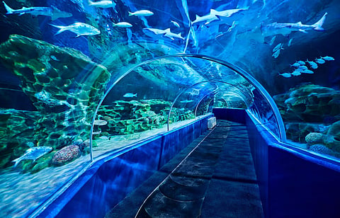 VGP Marine Kingdom in Chennai