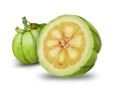 Kokum could be that miracle food to help you burn those calories
