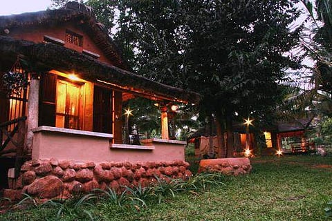 Rare Earth Farmstay